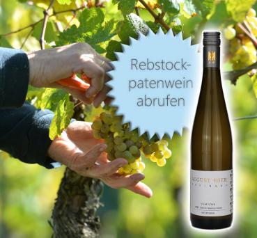 2023er Jahrgang Rebstock-Paten-Wein (zuzüglich Porto)