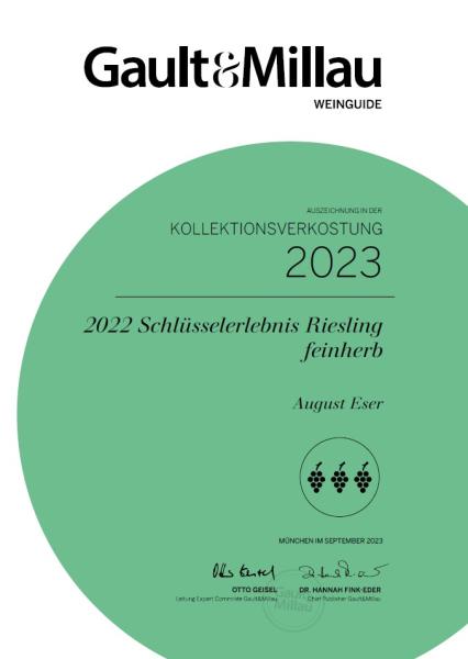 2022 Schlüsselerlebnis Riesling feinherb VDP.GUTSWEIN
